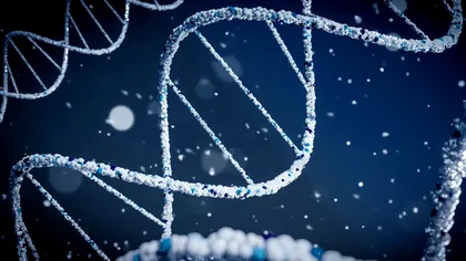 Studiu ADN: populația din epoca bronzului din Marea Britanie provine în mare parte din migranți veniți din estul Europei