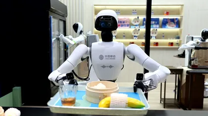 Automatizarea cu AI în industria alimentară: cum ajung roboții să crească risipa, nu eficiența