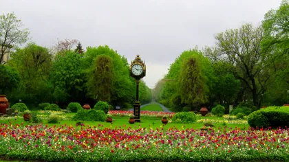 Ce poți face în București în weekendul 6-8 martie 2026, de Ziua femeii