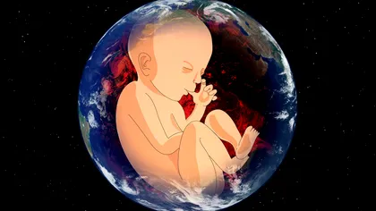 Reproducerea în spațiu, mai complicată decât părea: microgravitația încurcă serios drumul spermatozoizilor către ovul