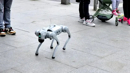 Cum au grijă roboții să fii educat pe stradă. Se întâmplă într-un oraș din țara noastră
