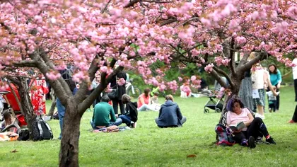 Unde ieși în București în weekendul 8–10 mai: filme, muzică și spectacole pentru copii
