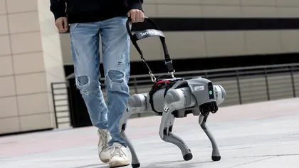 VIDEO: Un câine robot cu AI le vorbește nevăzătorilor și îi ajută să evite obstacolele. Cum funcționează noua tehnologie