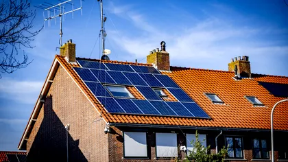 Revoluție în energia verde: „lemnul solar” care produce energie și după apus ar putea schimba tot