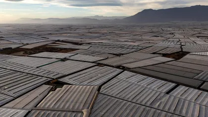 Marea albă care hrănește Europa: locul din Spania ce se vede din spațiu și produce legume cât pentru un continent