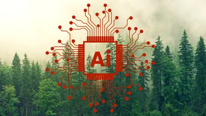 Pădurea intră în era algoritmilor: gigantul Weyerhaeuser vrea să pună AI-ul la cârma exploatării forestiere