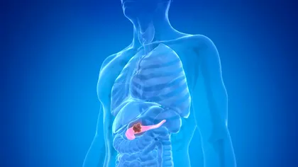 Un AI ar putea vedea cancerul pancreatic înaintea medicilor: modelul care promite să schimbe una dintre cele mai grele lupte din oncologie