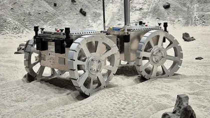 Un nou rover pentru Marte se inspiră de la o șopârlă care „înoată” prin nisipul Saharei