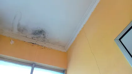 Cine plătește dacă îți cade tavanul din cauza vecinului. Regula pe care puțini proprietari o știu
