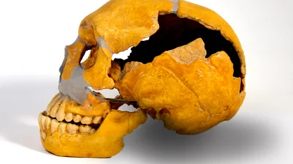 Descoperire incredibilă despre neanderthalieni: făceau intervenții dentare acum 60.000 de ani, înaintea oamenilor moderni