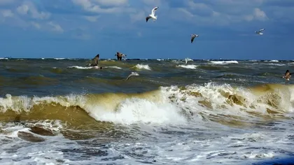 Fenomenul ciudat observat de turişti în Marea Neagră. „Ce e învolburarea asta?”. Totul se vede de pe plajă