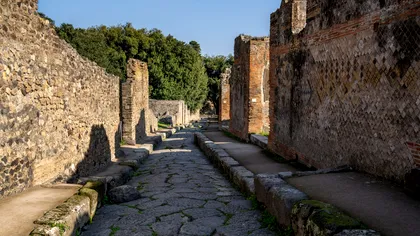 Descoperire surprinzătoare la Pompeii. Arheologii au găsit scheletul unui animal folosit în producția de pâine înainte de erupția Vezuviului