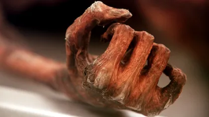 Ötzi, omul ghețurilor, mai ascundea un secret. Ce au aflat cercetătorii din microbii lui vechi de mii de ani