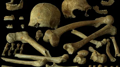 Nu erau condamnați genetic: ADN-ul ultimilor neanderthalieni schimbă misterul dispariției lor
