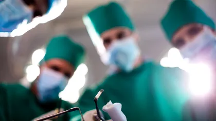 Premieră medicală: medicii au transplantat simultan un ficat și doi rinichi de porc într-un corp uman