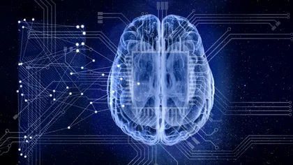 O descoperire despre creier ar putea schimba viitorul inteligenței artificiale. Deciziile se formează mai devreme decât credeau cercetătorii