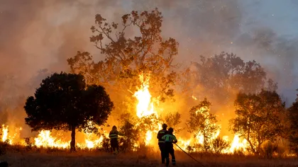 Românii fug de incendiile de vegetație din Grecia. Mărturia unui român aflat chiar în calea flăcărilor: „Am scăpat la limită”