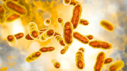 Bacteriile care „mănâncă” uraniu, descoperite într-o fostă mină sovietică. Ar putea curăța apele radioactive