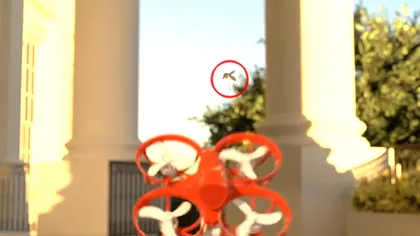 Nu mai ai nevoie de papuc sau de pernă. O dronă inteligentă promite să prindă țânțari în locul tău