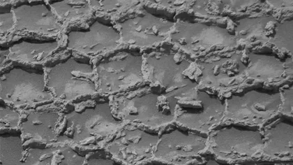 Curiosity a găsit pe Marte roci ca un fagure uriaș. NASA încearcă să afle ce le-a format