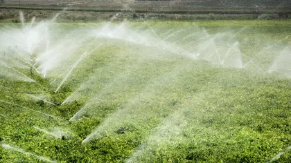 Fermierii, ajutați înainte de noul sezon agricol. Ce prevede noul pachet votat în Parlamentul European
