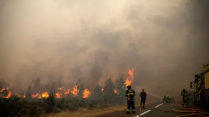 Ce trebuie să faci dacă te prinde un incendiu de vegetație în vacanță. Greșeala pe care mulți turiști o fac