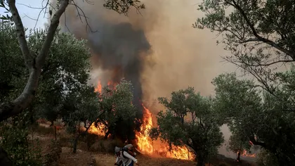 Incendii puternice în Grecia. Evacuări masive pe mai multe insule. Ce trebuie să știe românii care merg în vacanță