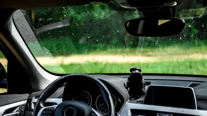 Ce înseamnă dacă vezi tot mai puține insecte pe parbriz vara. Explicația specialiștilor