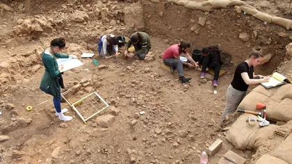 Oamenii mâncau șerpi și șopârle în preistorie, iar asta nu era o întâmplare. Dovezile găsite pe oase