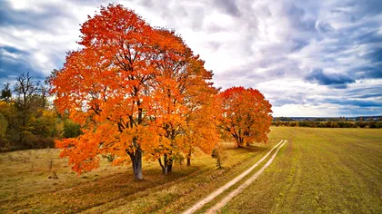 Toamna se lasă aşteptată. ANM anunţă temperaturi ridicate şi în luna septembrie, când încep ploile