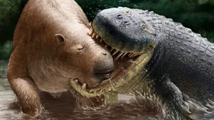 Monstrul care făcea crocodilii de azi să pară mici: cântărea cât o mașină și vâna mamifere cât rinocerii