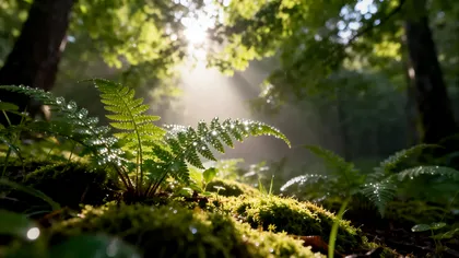 Cum suna o pădure din Jurasic în urmă cu 165 de milioane de ani. Cercetătorii au recreat „muzica” insectelor preistorice