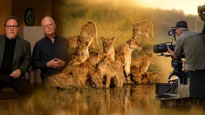 INTERVIU EXCLUSIV în România. Mike Gunton și Jon Favreau (creatorul „The Mandalorian” și regizorul „The Lion King”) dezvăluie culisele LION, noua serie-documentar National Geographic și Disney+