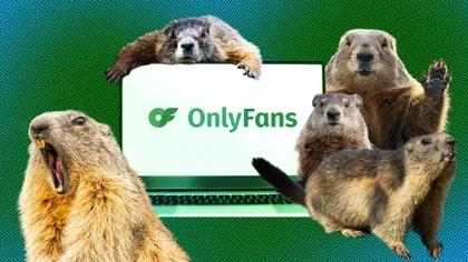 Cercetătorii au ajuns pe OnlyFans ca să salveze un studiu de 60 de ani. Acum, o criptomonedă cu marmote le-a adus peste 100.000 de dolari