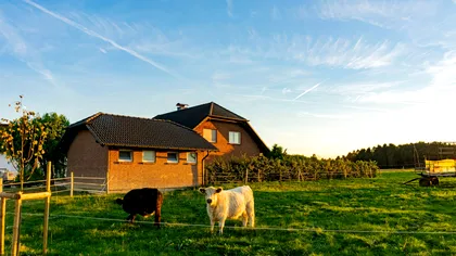 Cum poți sta gratuit în Germania, cu 3 mese pe zi incluse. Oferta pentru cei dispuși să lucreze 32 de ore pe săptămână
