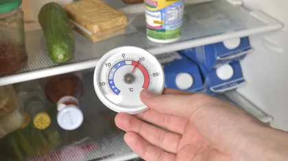 La ce temperatură trebuie să fie frigiderul în septembrie. Setarea care ajută alimentele să reziste mai mult