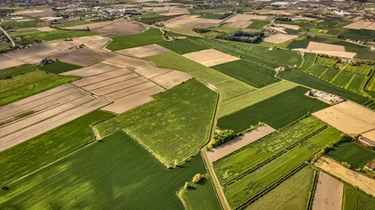 Prețul terenurilor agricole s-a prăbușit în România. Cât mai costă un hectar în 2026