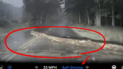 Tesla cu FSD activ trece direct peste un buștean la peste 50 km/h. Mașina nu frânează și nu încearcă să-l evite