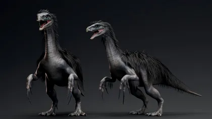 Dinozaurul uriaș cu pene și gheare de peste un metru, descoperit în China. Arăta înspăimântător, dar probabil mânca plante