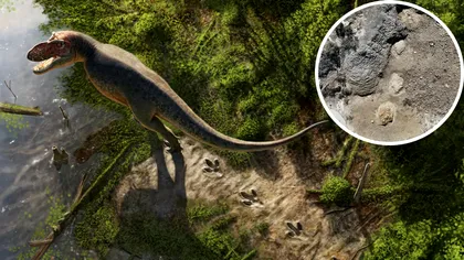 Un profesor de liceu a făcut o descoperire uluitoare: urmele unui T. rex adult, păstrate de 66,5 milioane de ani