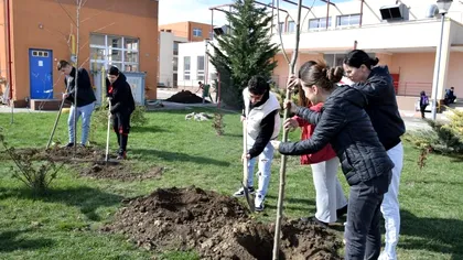 „Școala Altfel” și „Săptămâna verde” s-ar putea schimba după rezultatele PISA. Ce vrea ministrul Educației