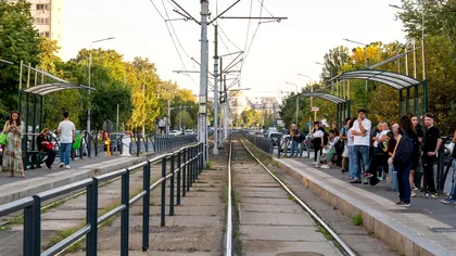 De ce sunt atât de mulți șobolani într-o zonă centrală din București. Două probleme fac inutilă deratizarea, explicaţiile Primăriei Capitalei