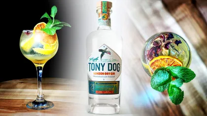 Cum faci un gin tonic cu Tony Dog și descoperi povestea celui mai nou gin românesc cu 21 de plante. Merge cu apa tonică Indian de la Alchemico, tot din România
