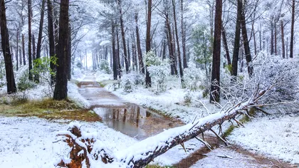 Cum ar putea fi iarna 2026-2027 în Europa din cauza El Niño. Fenomenul va atinge o intensitate record în decembrie