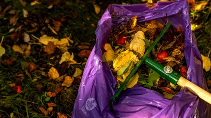 Unde se aruncă frunzele și crengile după curățenia de toamnă. Ce spune legea în 2026