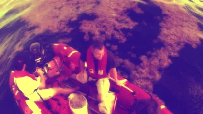 Fenomen bizar în Atlantic: aceasta e singura mare din lume fără țărmuri