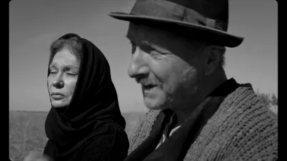 „Oscarurile” românești: pelicula cu cele mai multe nominalizări la Premiile Gopo 2019