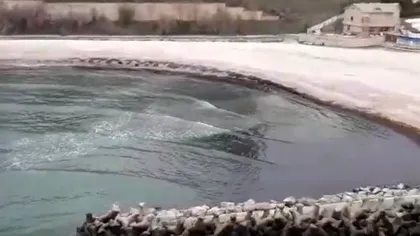 VIDEO „Prafuri de la mama mare”, ca în Brigada Diverse. Constanța: turiștii să se ferească de cutiile de pe plajă, pot conține droguri