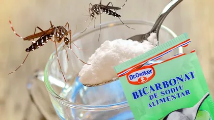 Cum scapi de țânțari cu bicarbonat de sodiu, soluție naturală și ieftină, preparată în casă