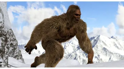 În căutarea lui Yeti! FBI tocmai a publicat dosarul Bigfoot